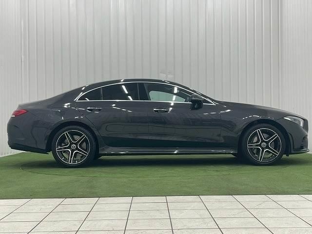 24274324_carP_l_9.jpg