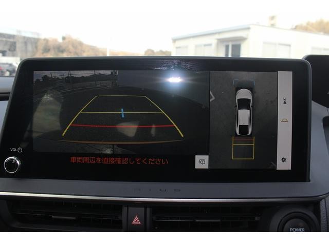 22674517_carP_l_10.jpg
