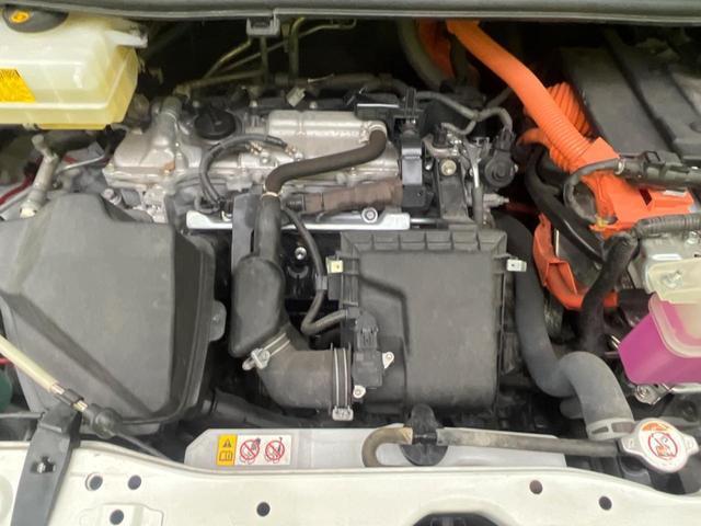 24421252_carP_l_18.jpg