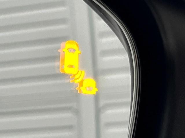 24239597_carP_l_14.jpg