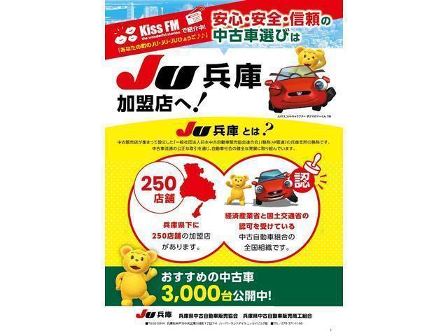 21965813_carP_l_3.jpg