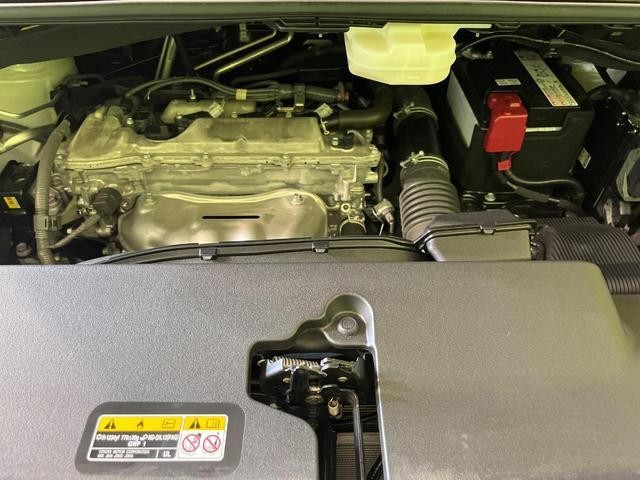 24912262_carP_l_18.jpg