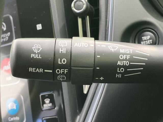 23397265_carP_l_9.jpg