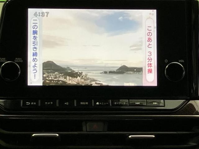 25029975_carP_l_6.jpg