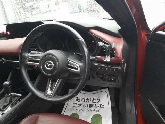 26810197_carP_l_15.jpg