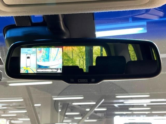 24360101_carP_l_13.jpg