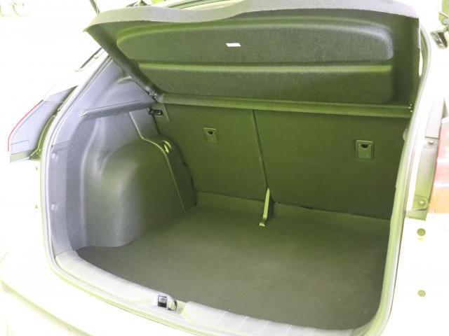 22347804_carP_l_2.jpg
