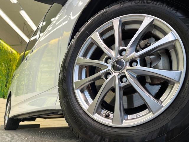 23497278_carP_l_8.jpg
