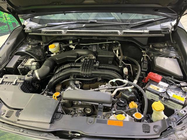 24441119_carP_l_18.jpg