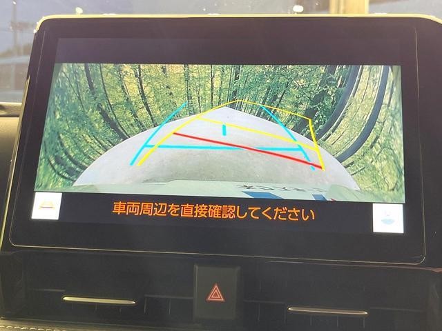 23477439_carP_l_10.jpg