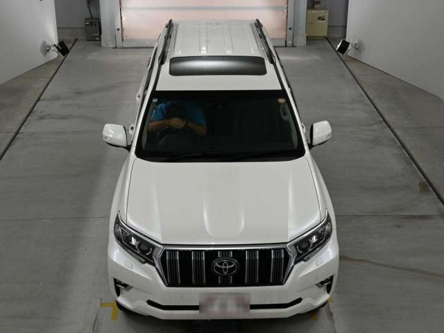 26810389_carP_l_14.jpg
