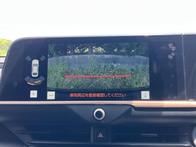 23794729_carP_l_5.jpg
