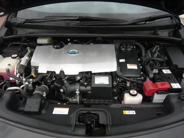 24802671_carP_l_5.jpg
