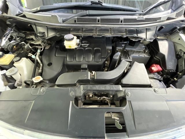 25983147_carP_l_18.jpg
