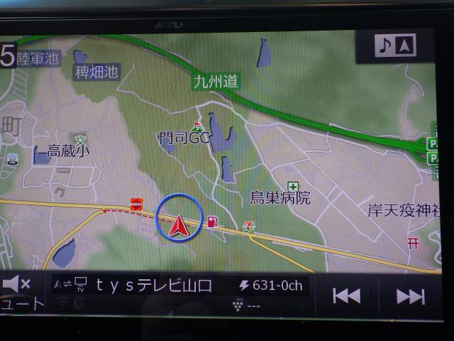 21201886_carP_l_4.jpg