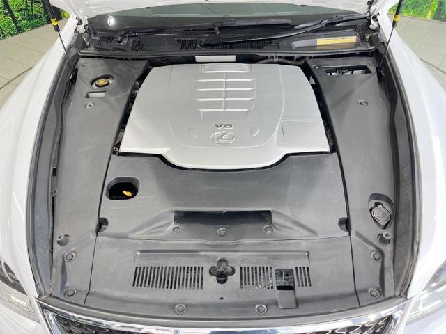 24521446_carP_l_16.jpg