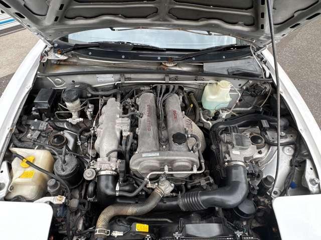 24215406_carP_l_4.jpg