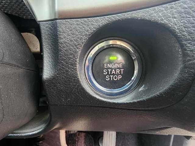 17948937_carP_l_14.jpg