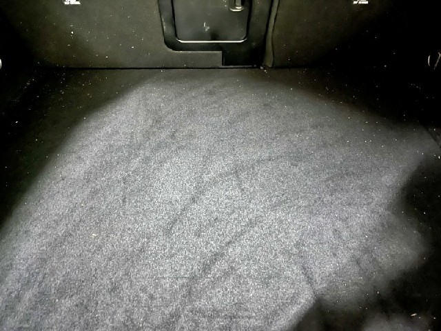479505c9aa86c7854c06accf2cd99aba.jpeg