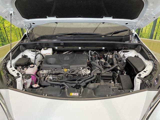 26084211_carP_l_16.jpg