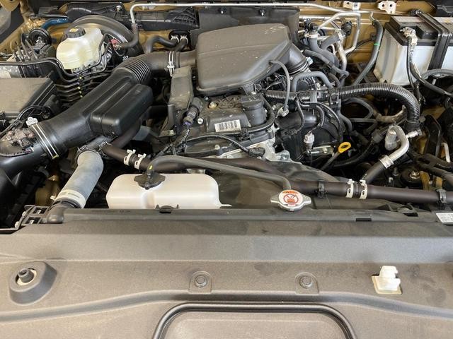 26064035_carP_l_12.jpg