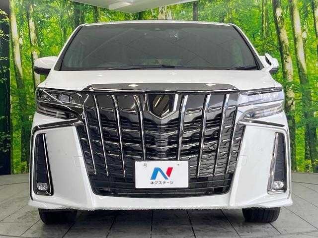 24219212_carP_l_9.jpg