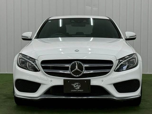 25070817_carP_l_6.jpg