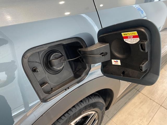 24440664_carP_l_11.jpg