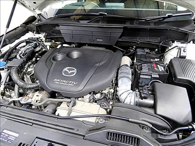 24524238_carP_l_20.jpg