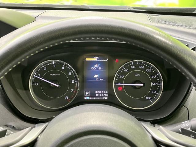 22397989_carP_l_8.jpg