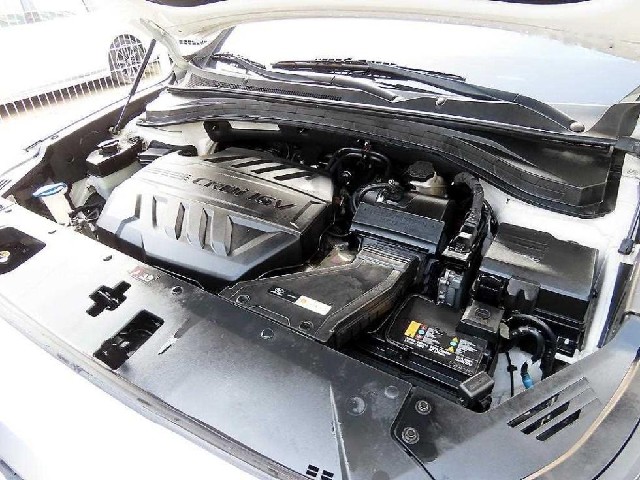 3d351b06d1fca04134d505f64a9334e6.jpeg