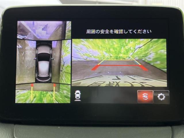 22785210_carP_l_6.jpg