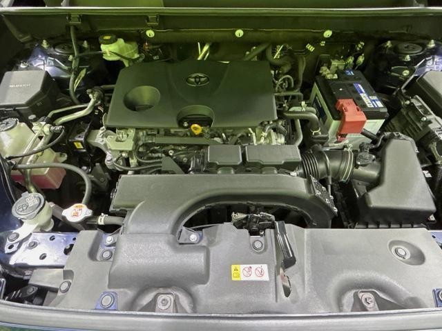 26084989_carP_l_16.jpg