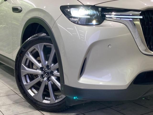 24828731_carP_l_6.jpg