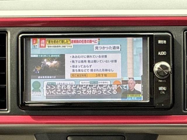 23402026_carP_l_7.jpg