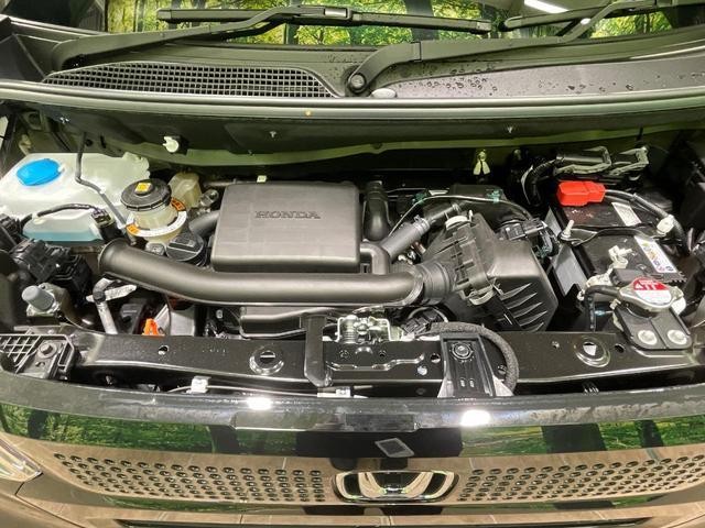 26085142_carP_l_16.jpg
