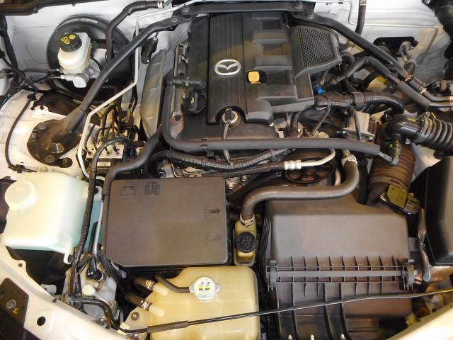21929252_carP_l_20.jpg