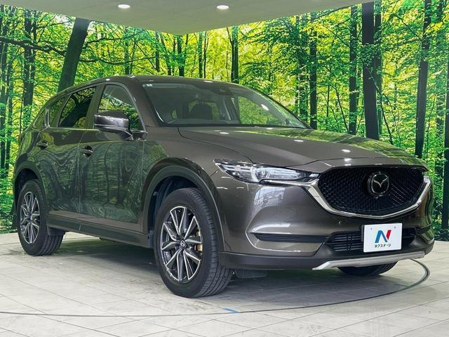 24219478_carP_l_11.jpg