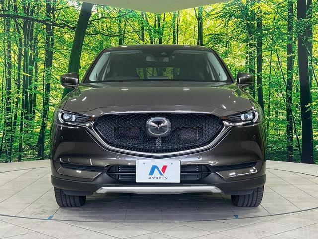 24219478_carP_l_8.jpg