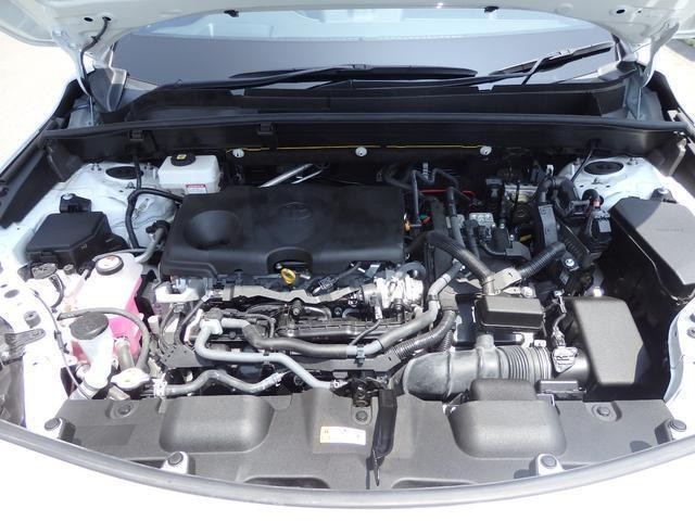 24886116_carP_l_20.jpg