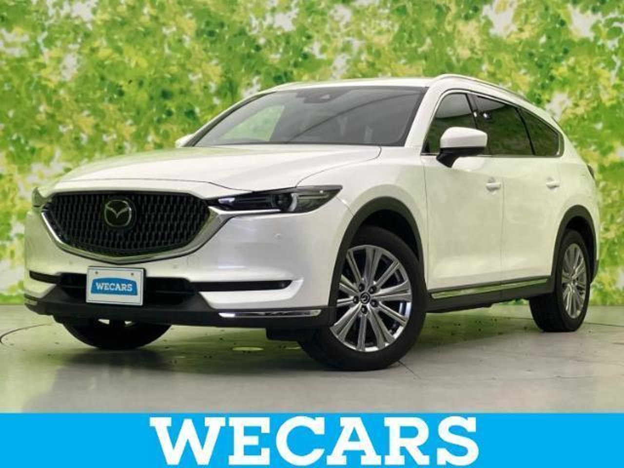 2022 Mazda Cx8, photo 1 of 1