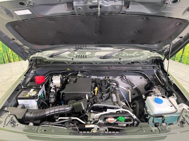 24179462_carP_l_16.jpg
