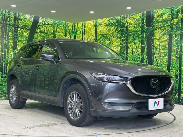 24219479_carP_l_11.jpg