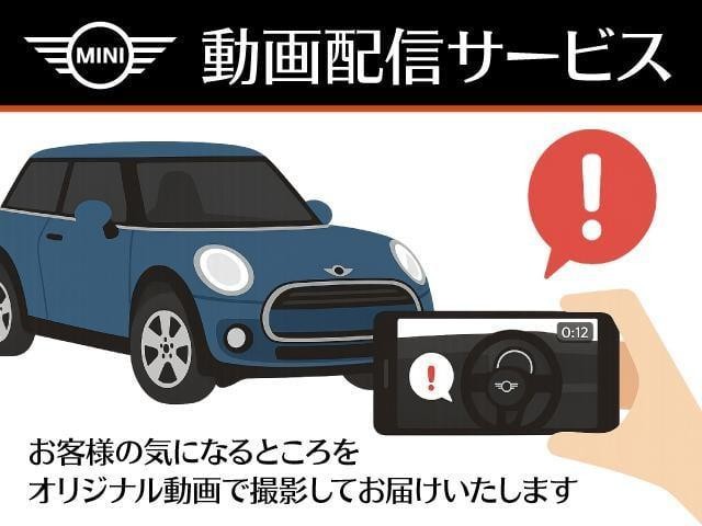 24889296_carP_l_7.jpg