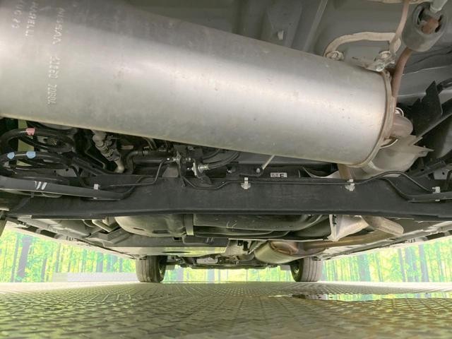 25075983_carP_l_20.jpg