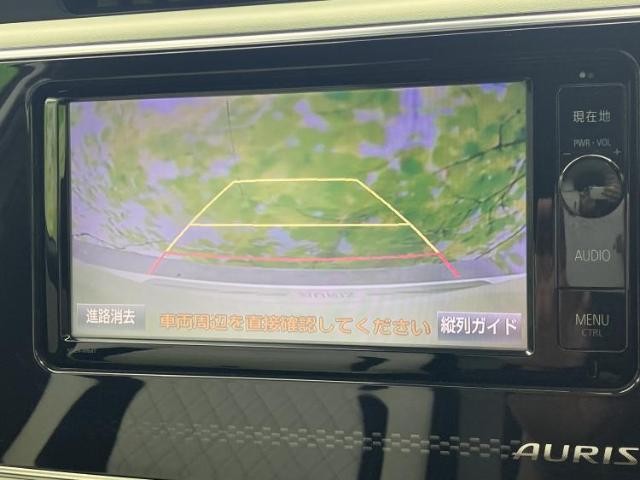 24630604_carP_l_5.jpg