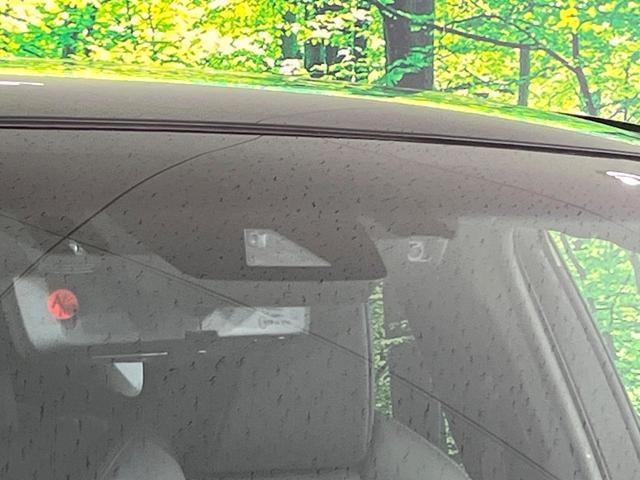 23262722_carP_l_13.jpg