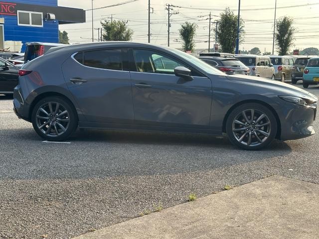 25404556_carP_l_4.jpg