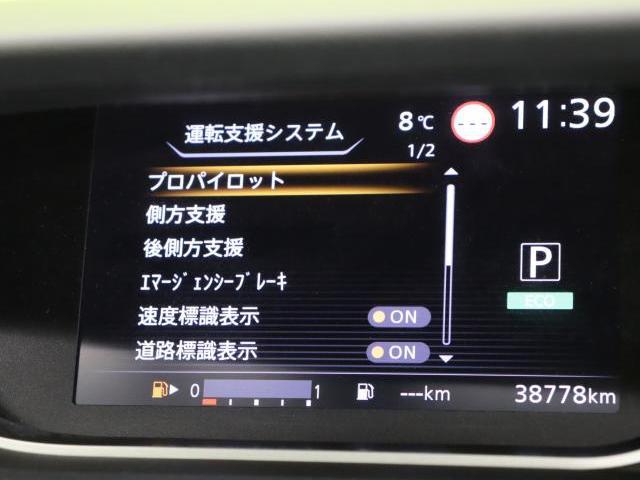 22145347_carP_l_14.jpg