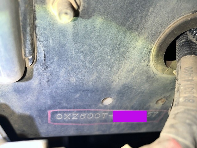 99055_34.jpg